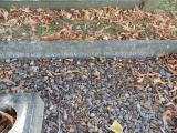 image of grave number 583171